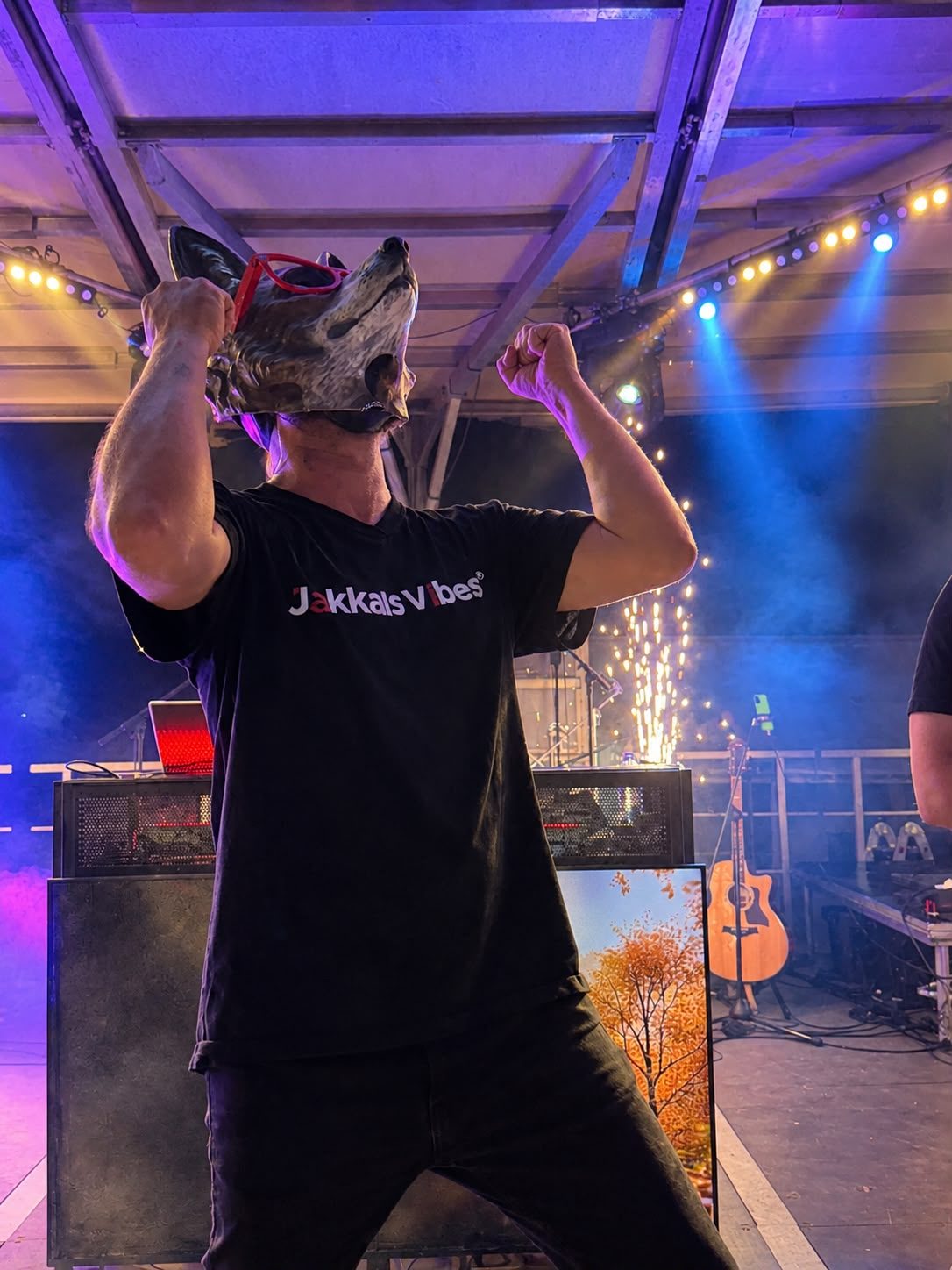 Jakkals Vibes™ masked performer live on stage