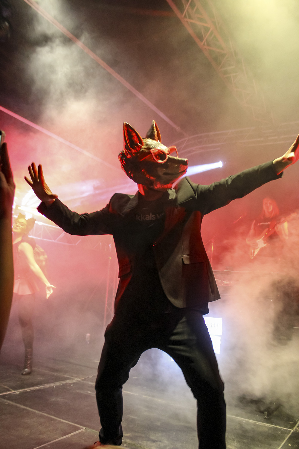 Jakkals Vibes™ live on stage