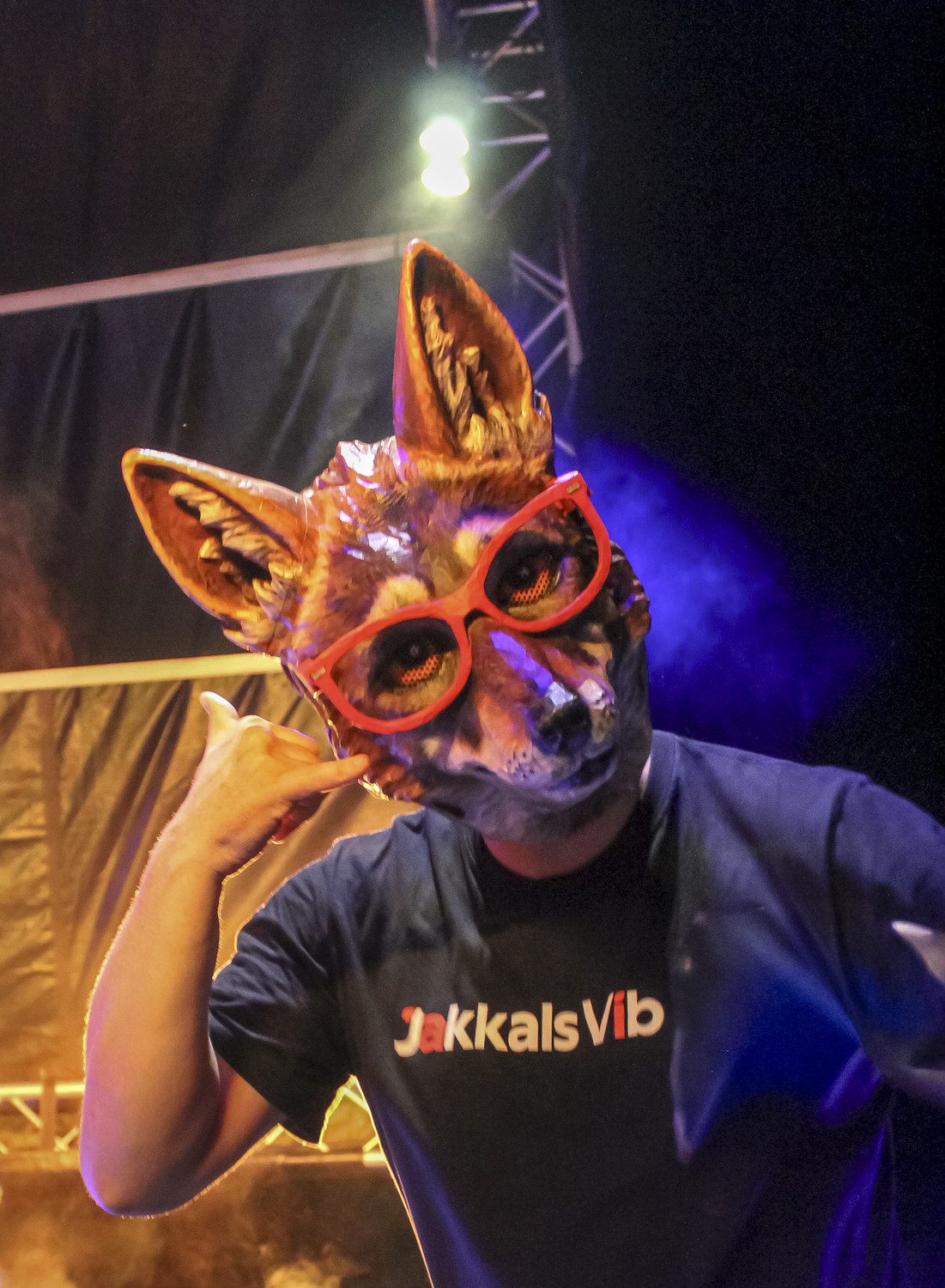 Jakkals Vibes™ live on stage