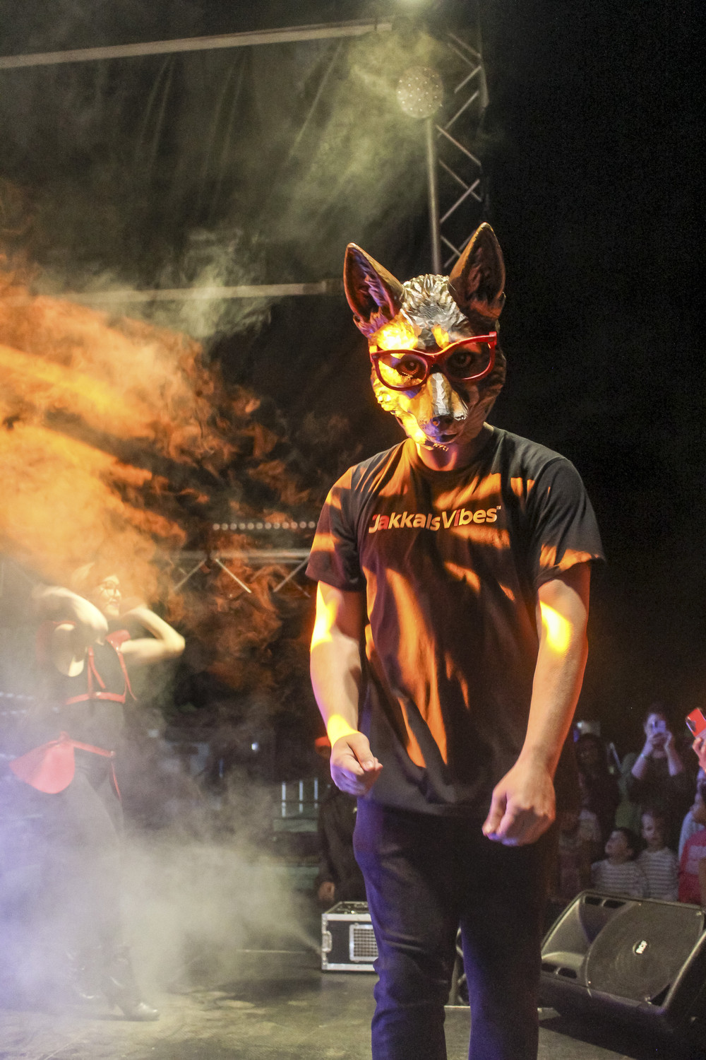 Jakkals Vibes™ live on stage
