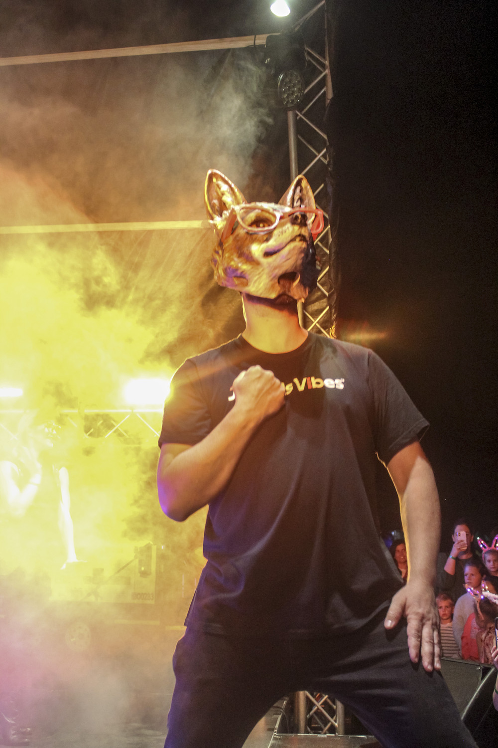 Jakkals Vibes™ live on stage