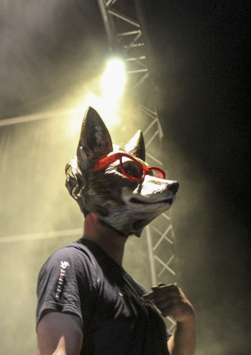 Jakkals Vibes™ live on stage