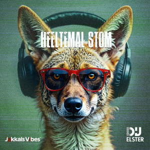 Heeltemal Stom (Elster Remix) — cover art