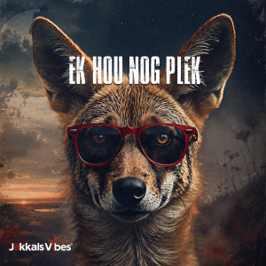 Ek Hou Nog Plek cover art