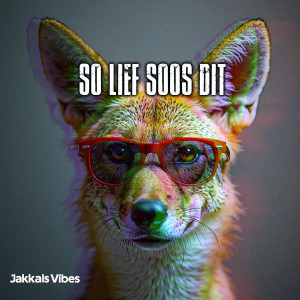 So Lief Soos Dit — cover art